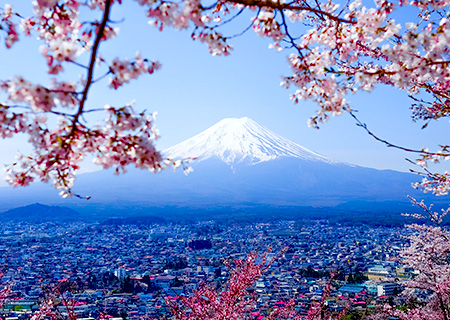 【冬．東京旅行地圖】teamLab數位美術館．河馬水路巴士．哈利波特圖書館．富士雪樂園．淺間神社．夢想迪士尼－關東５日
