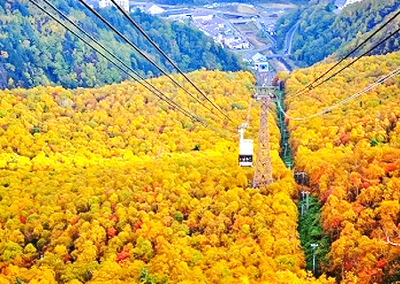 【幸福北海道楓葉賞】世界自然遺產~絕景知床秘境.黑岳紅葉纜車.星空摩周湖.阿寒綠藻遊覽船.七大蟹+三溫泉道東楓彩大地五日