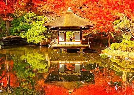 【秋戀關西】紅葉溪庭園．東福寺通天橋．常寂光寺．狂歡環球影城．銀杏御堂筋大道－京阪奈５日
