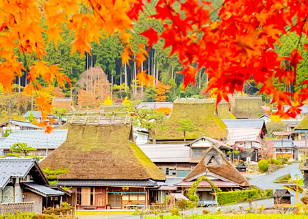 【精緻關西】美山合掌村．伏見稻荷神社千鳥居．阿倍野展望台．北野異人街．嵐山竹林道．奈良小鹿．京阪神奈5日