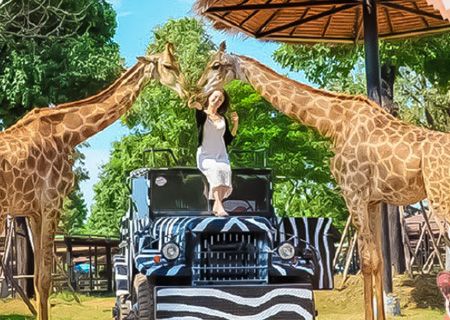 【享玩暹羅-與長頸鹿有約】曼谷YodSiam Boat尊榮號+芭達雅海上方舟.獅子王親子樂園 5日(含稅險)