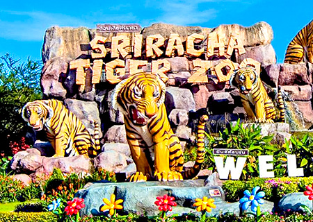 【珍愛暹羅】泰獅航 特別企劃享樂泰國—曼芭 東方公主號出海 是拉差老虎園 無購物/無自費 5+1日(含稅險)