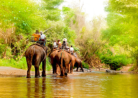 【清邁真好玩】6人成行~大象友善新體驗.SKY FLY空中滑索.Mama Noi泰式廚藝學校 5日 (含稅險簽)