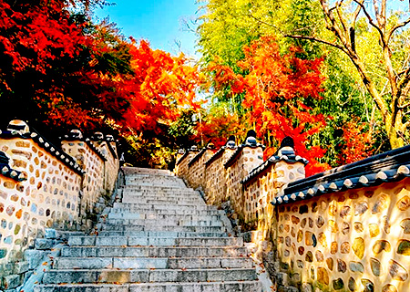 《不進人蔘、保肝》釜山追楓趣五日～內藏山、八公山纜車、全州韓服體驗、龍蝦一隻雞(BX)