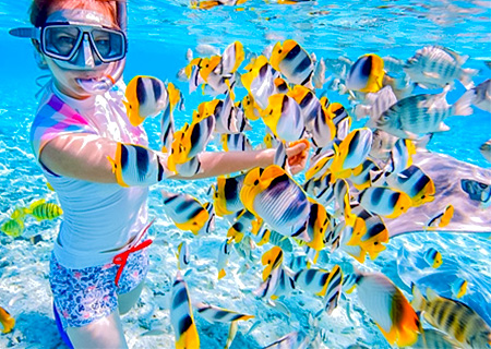 【享玩暹羅趣】尼莫共舞.湄南河船遊巡禮+泰服體驗.All Star明星號6日(含稅險)