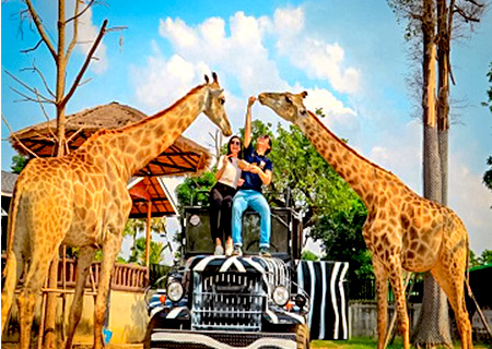 【享玩暹羅-與長頸鹿有約】曼谷YodSiam Boat尊榮號+芭達雅海上方舟.獅子王親子樂園 5日(含稅險)