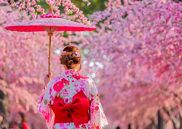 【花現關東５日】櫻百選小田原城．MOA海之美術館．千鳥之淵．隅田川櫻遊船．草莓放題