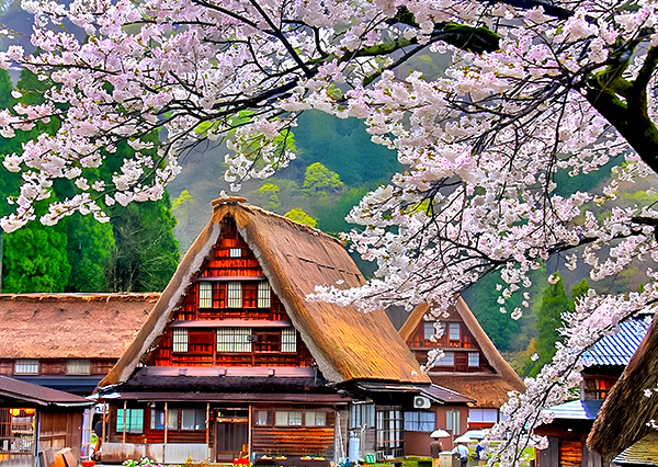 【立山雪壁北陸５日】飛驒高山老街＆鐵道單車、奈良井宿、惠那峽遊船~保住白川鄉合掌村