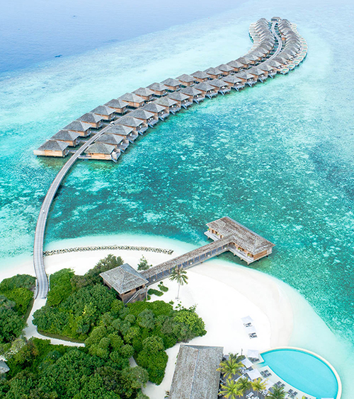 立山雪牆紫藤賞‧百選溫泉森之風