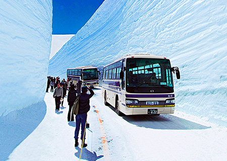 【北陸黑部立山白川鄉童話世界五日】漫步雪壁美景、童話世界合掌村住一晚、飛驒高山小京都、城下町風情-郡上八幡
